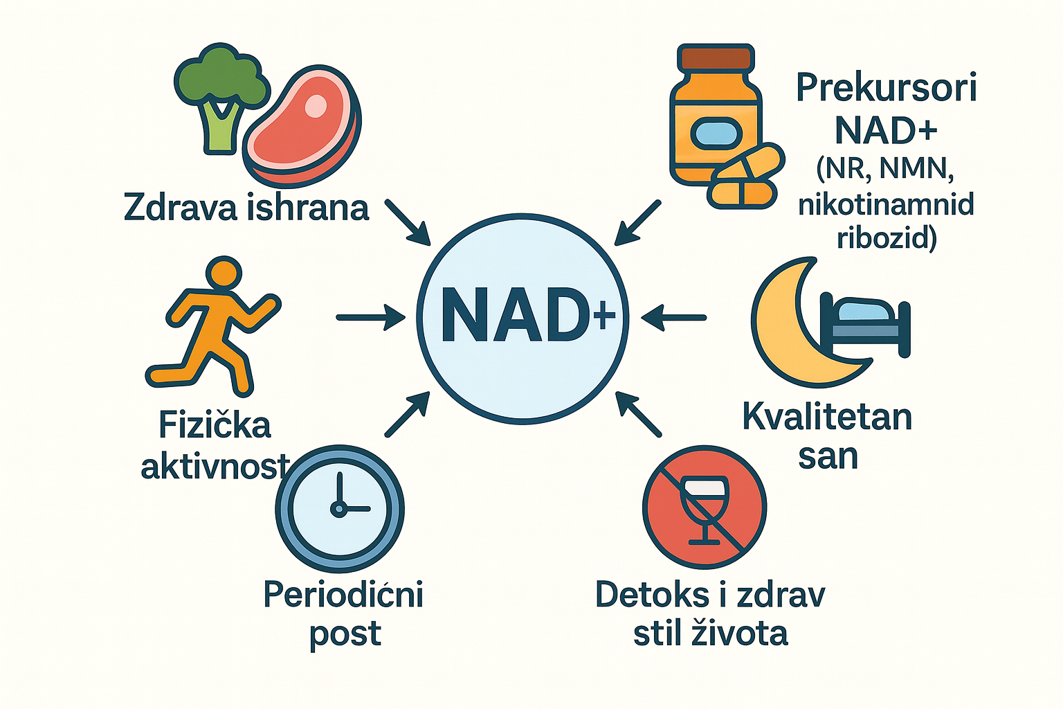 kako povećati nivoe NAD+